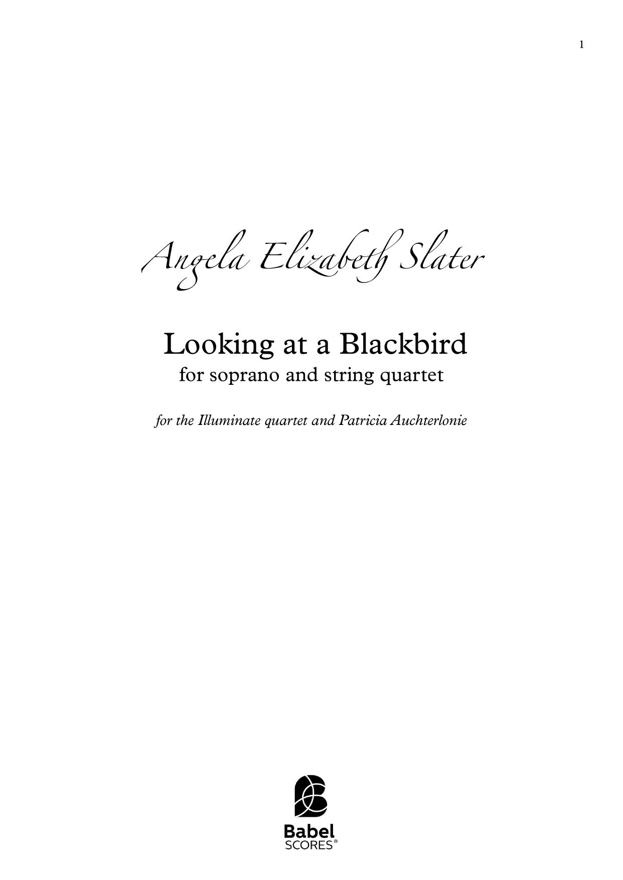 Ways of Looking at a Blackbird