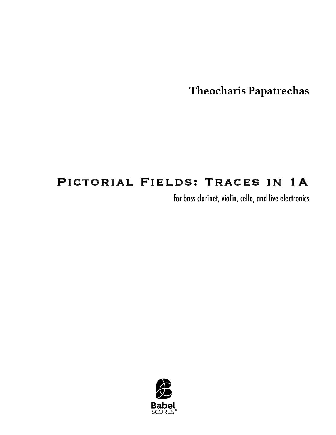Pictorial Fields：Traces in 1A