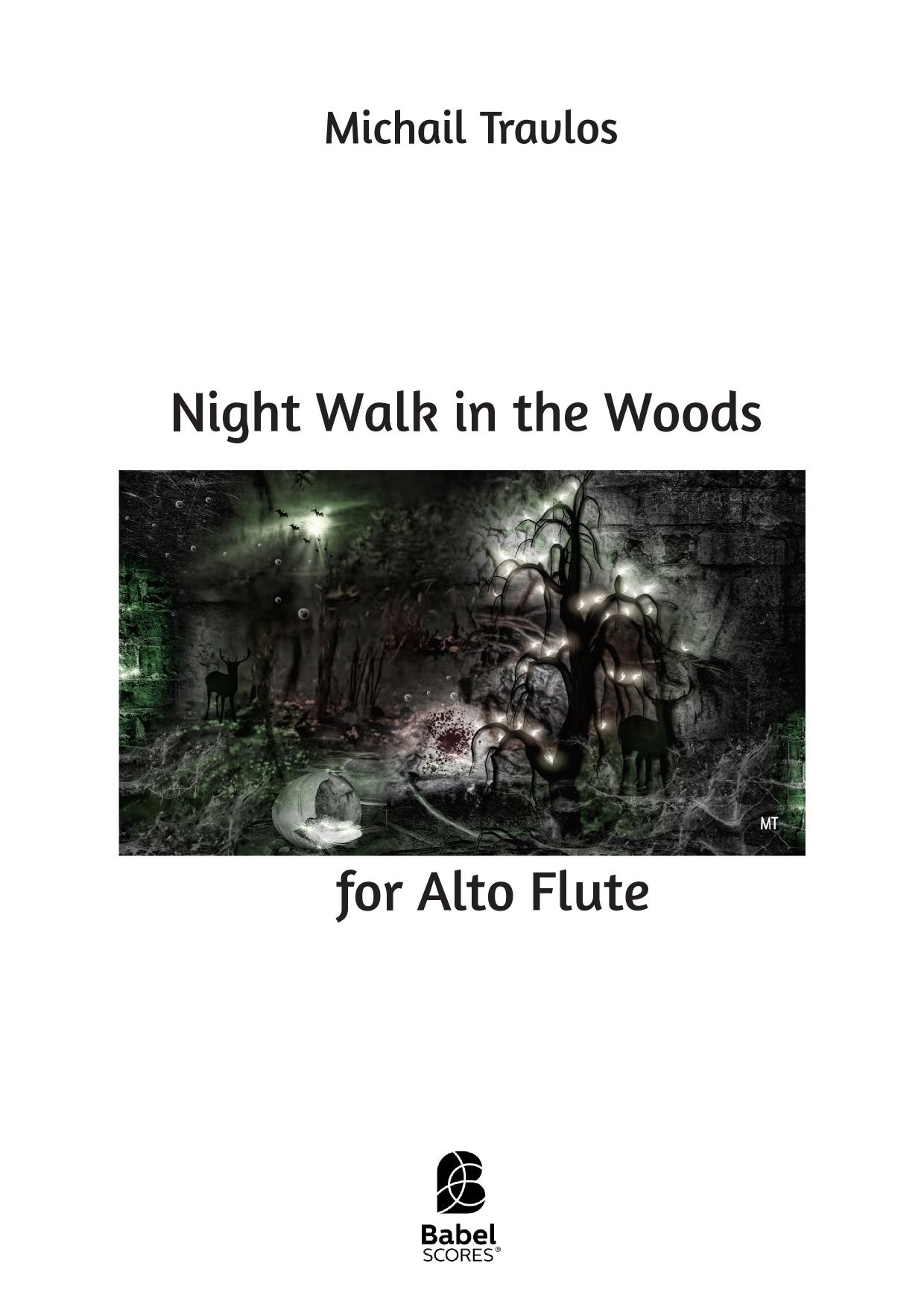 Night Walk in the Woods