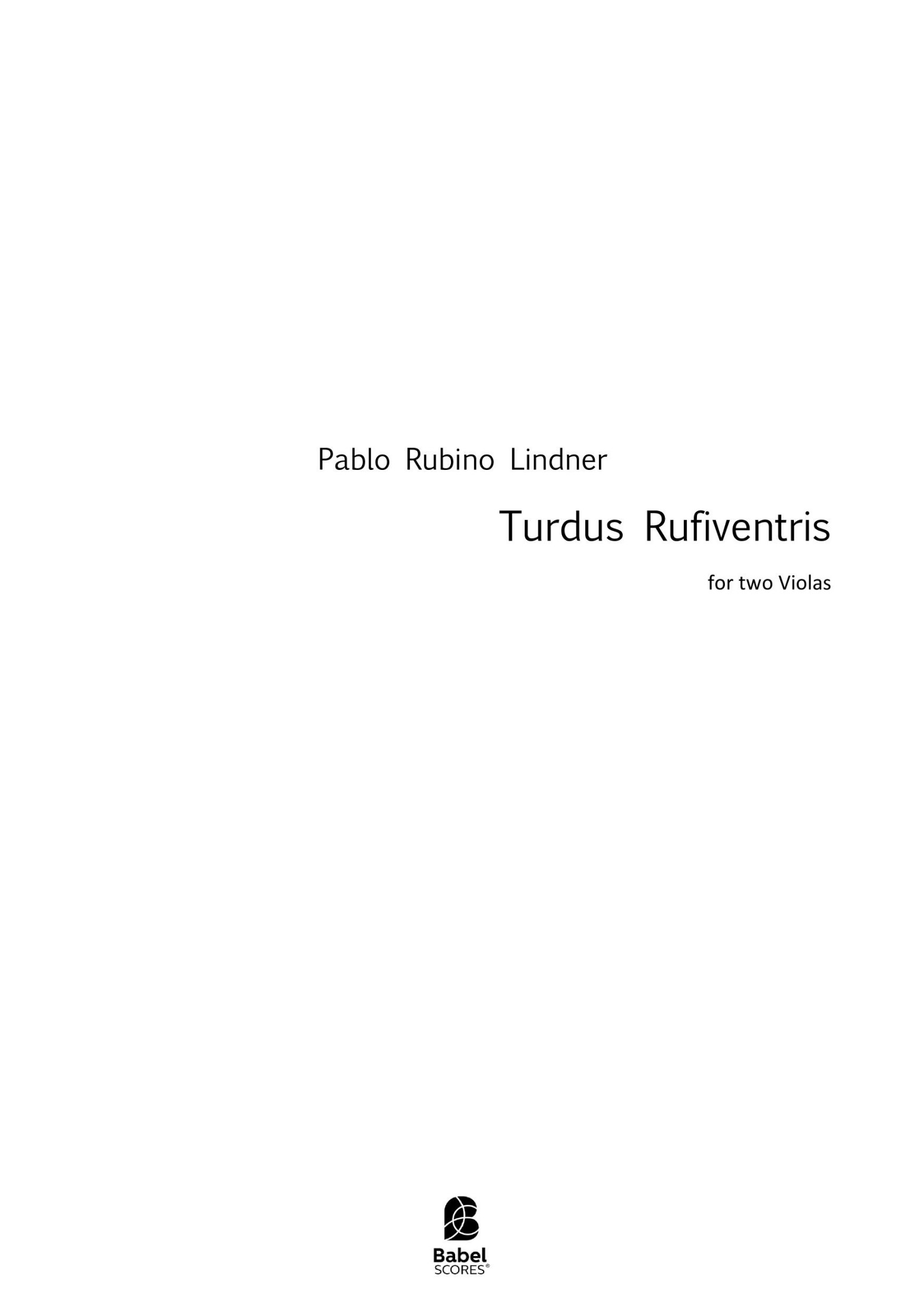 Turdus Rufiventris