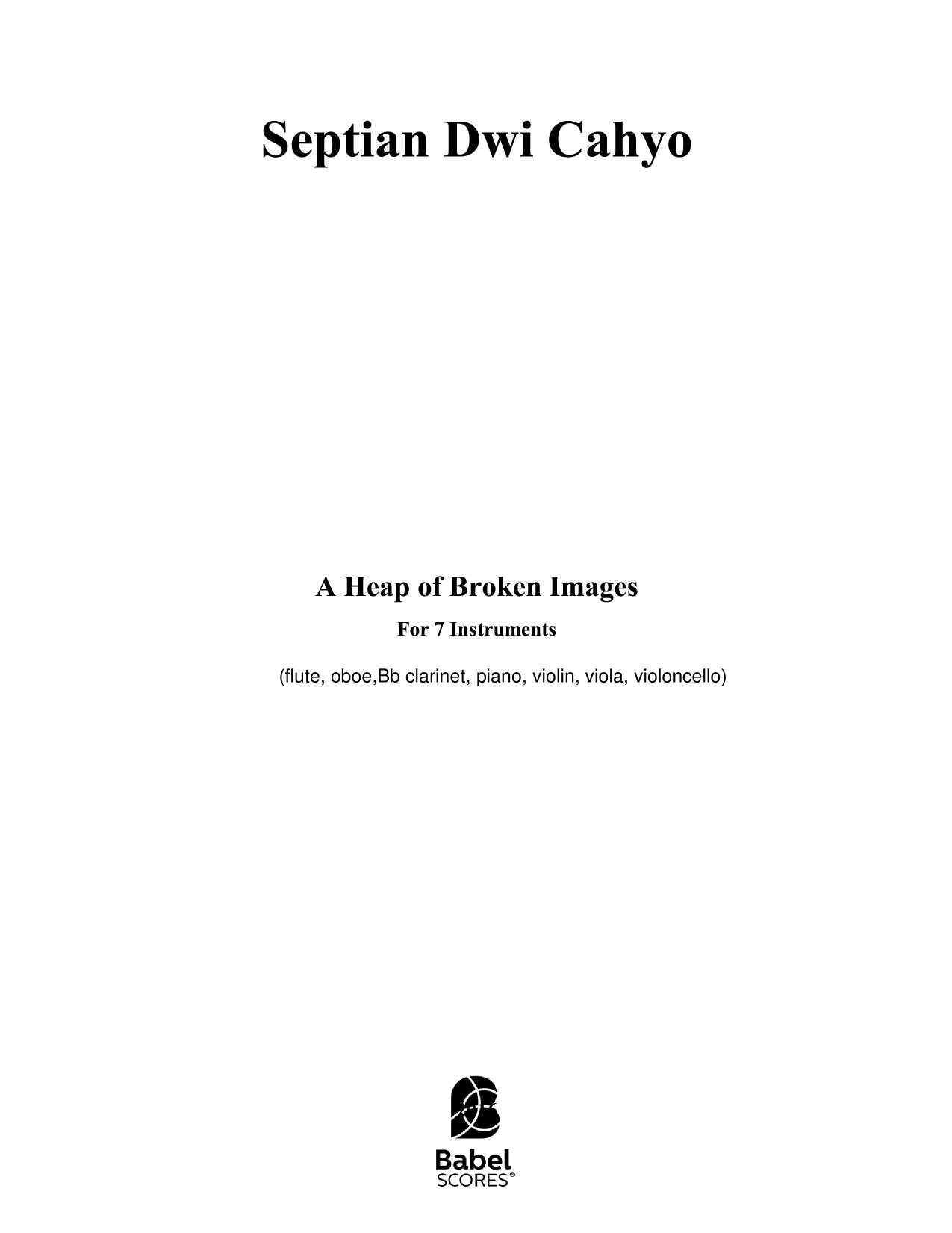 A Heap of Broken Images