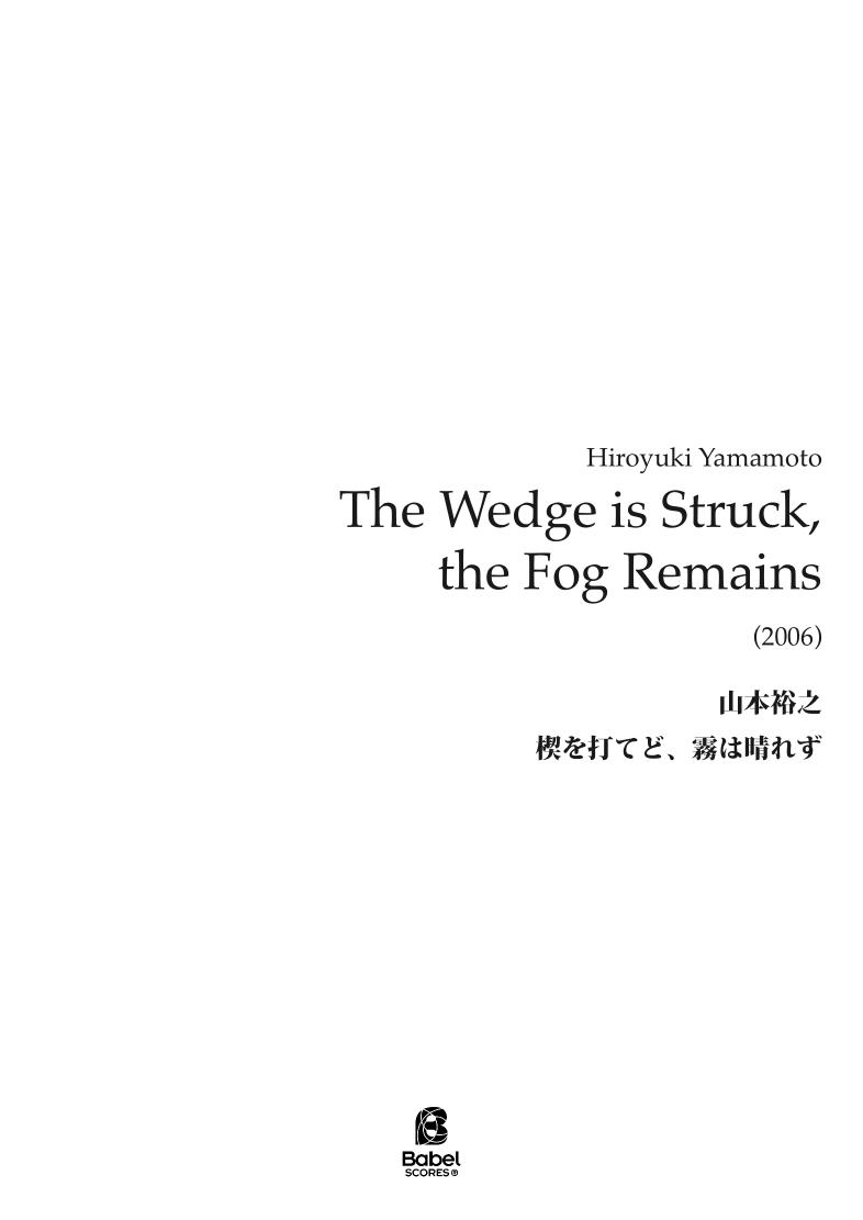 The Wedge is Struck, the Fog Remains