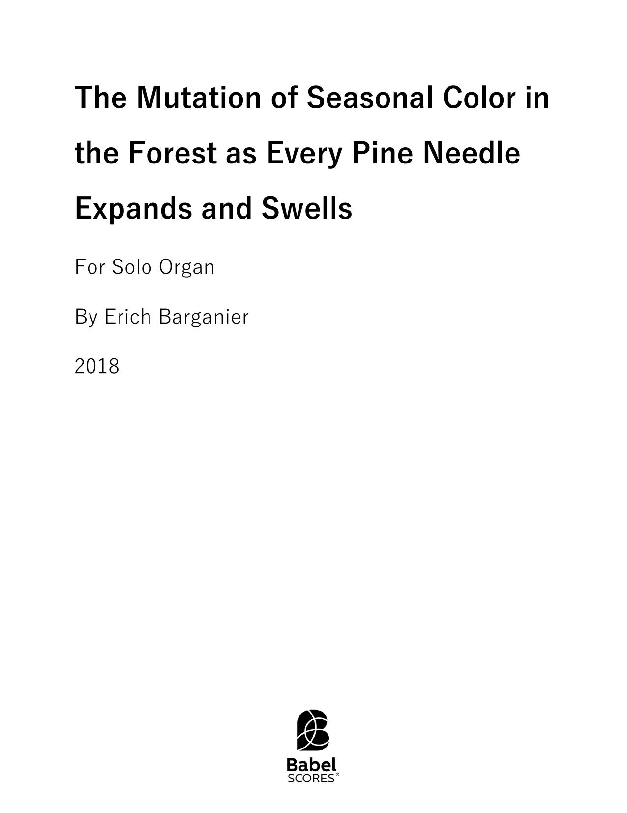 The Mutation of Seasonal Colors in the Forest as Every Pine Needle Expands and Swells